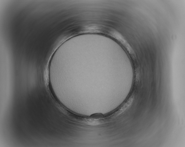 X0000100921370200807221107