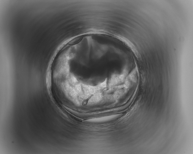 X0000100921371200807221107