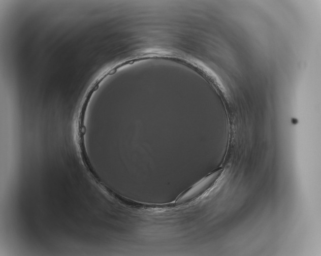 X0000100921373200807221107