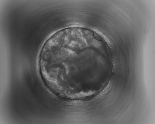 X0000100921375200807221107