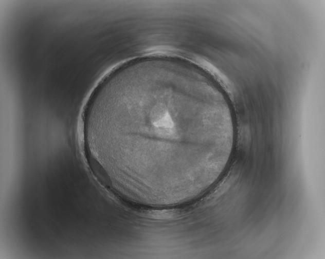 X0000100921376200807221107