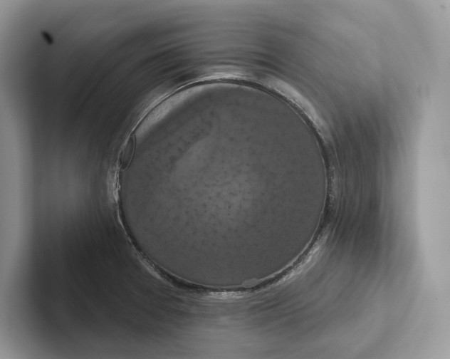 X0000100921377200807221107