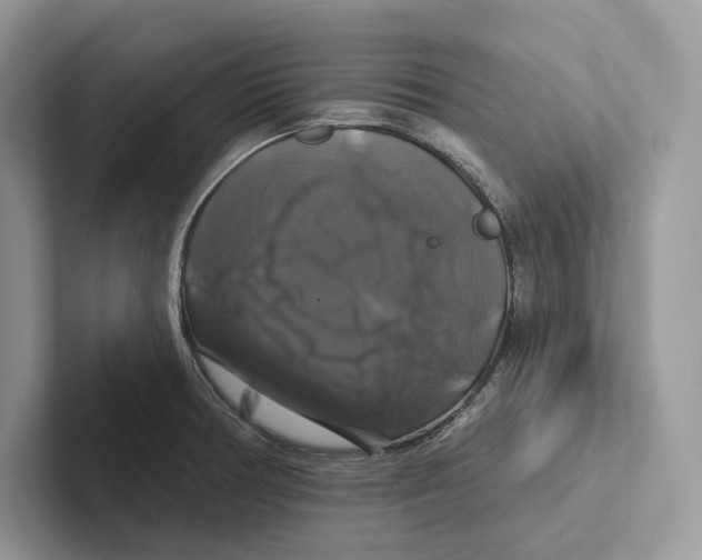 X0000100921378200807221107