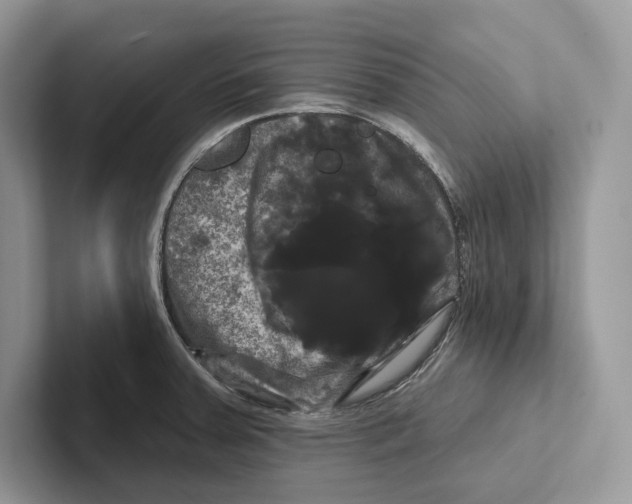 X0000100921379200807221107