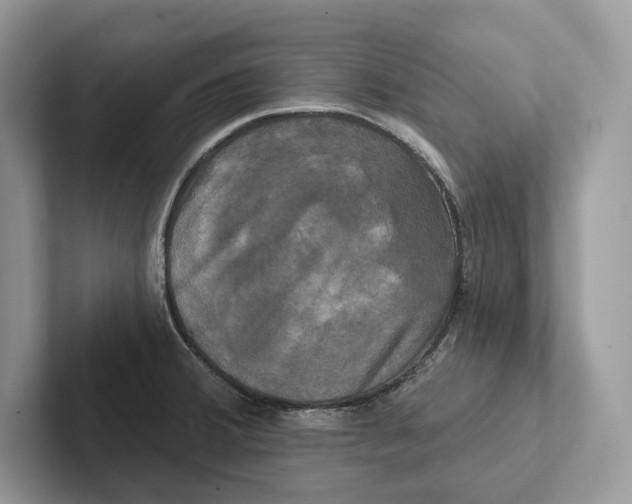 X0000100921380200807221107