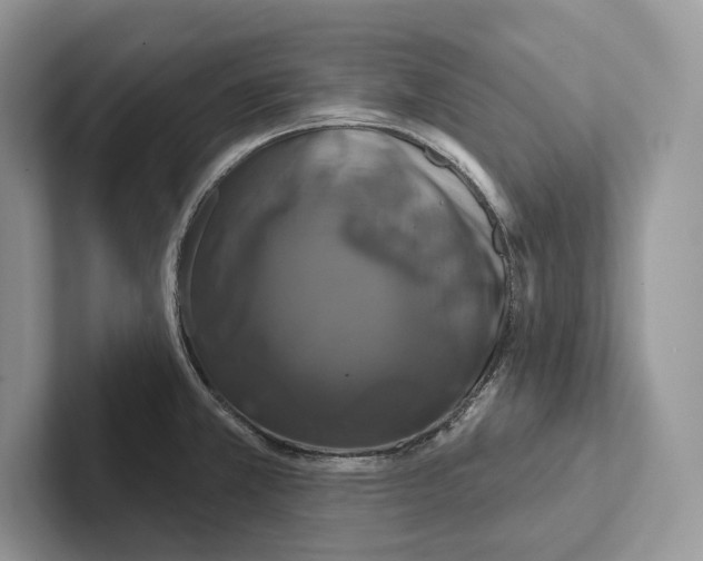X0000100921381200807221107