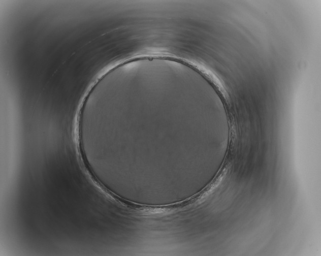 X0000100921382200807221107