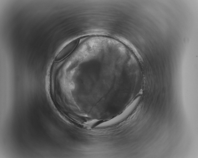 X0000100921383200807221107