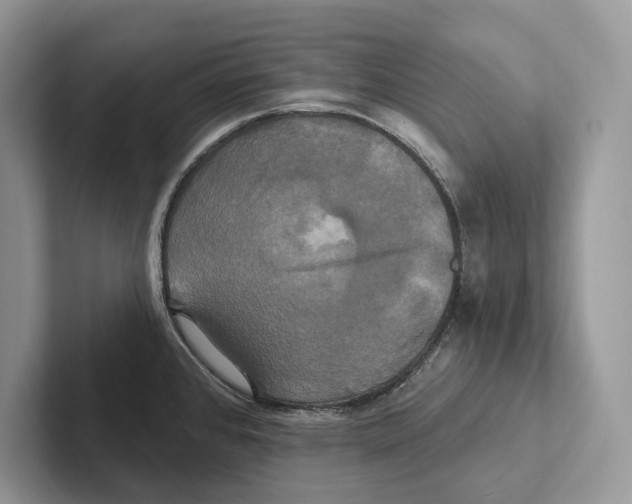 X0000100921384200807221107