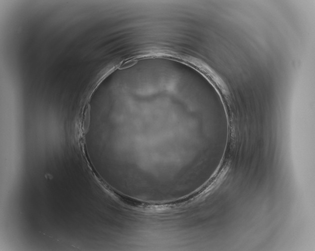 X0000100921385200807221107