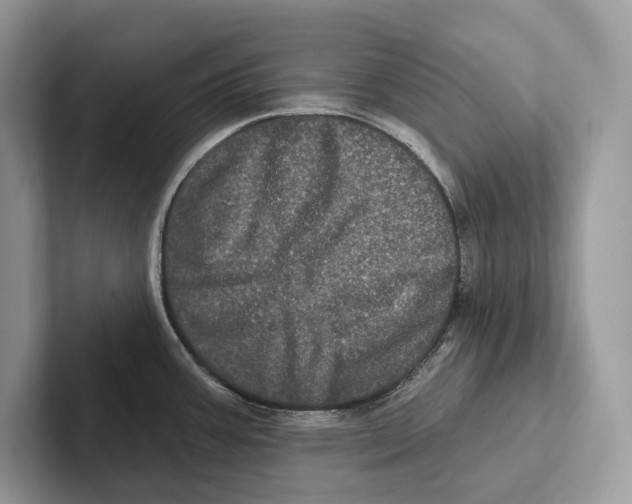X0000100921387200807221107