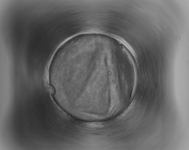 X0000100921388200807221107