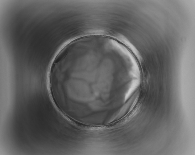 X0000100921389200807221106