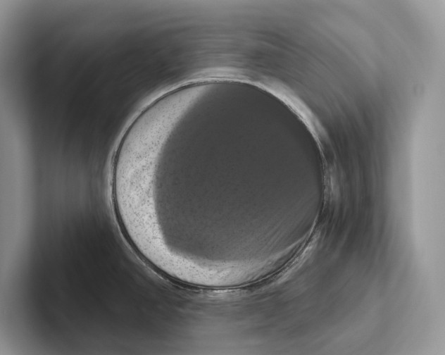X0000100921390200807221106