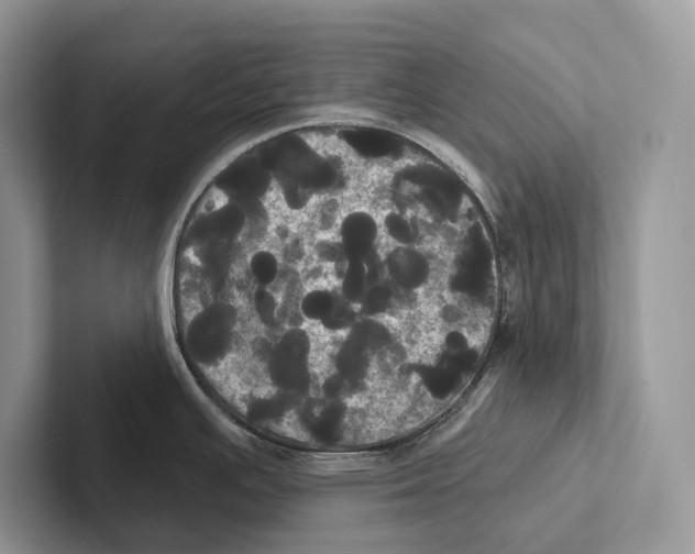 X0000100921391200807221106