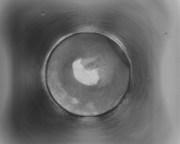 X0000100921392200807221106