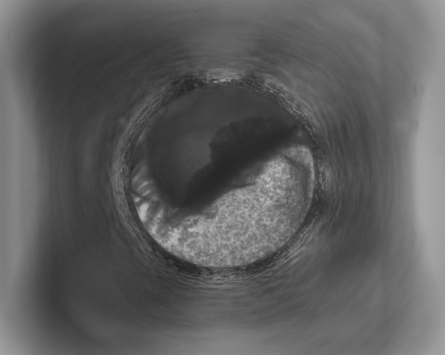 X0000100921393200807221106