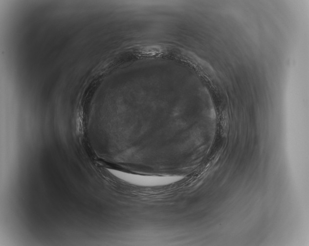 X0000100921394200807221106