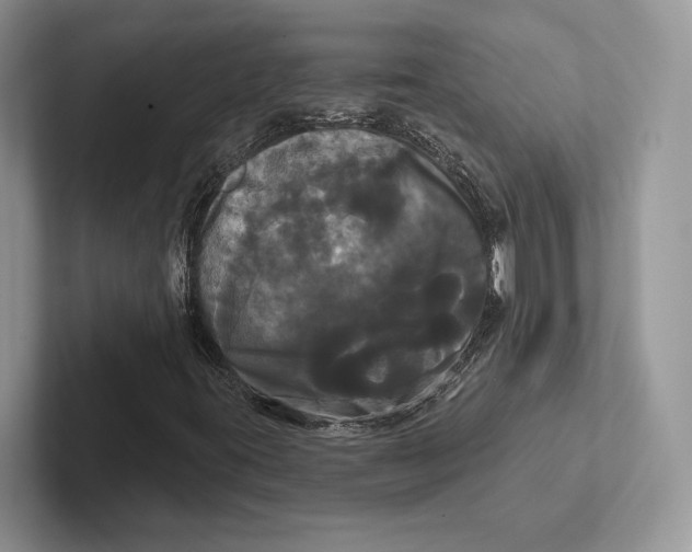 X0000100921395200807221106