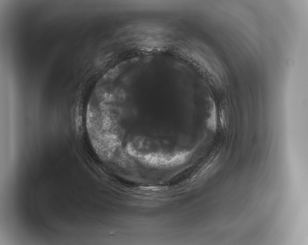 X0000100921396200807221106