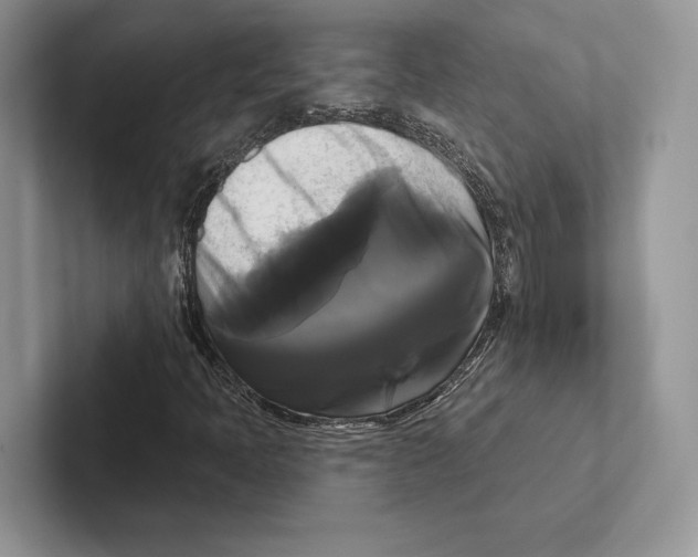 X0000100921397200807221106