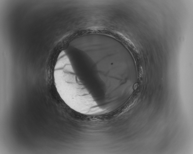 X0000100921398200807221106