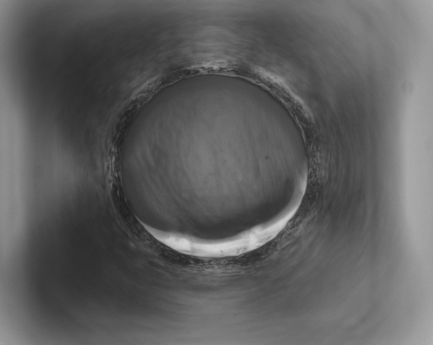 X0000100921399200807221106