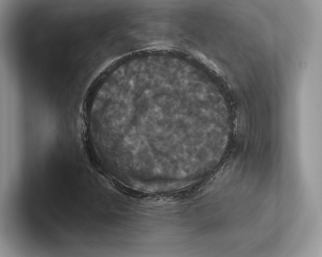 X0000100921400200807221106