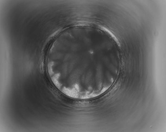 X0000100921403200807221106