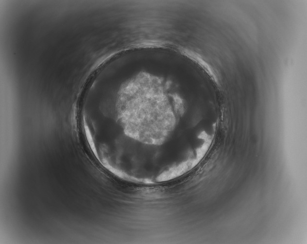 X0000100921404200807221106