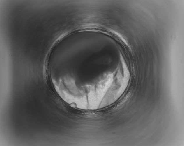 X0000100921405200807221106