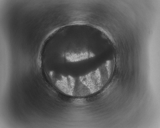 X0000100921406200807221106