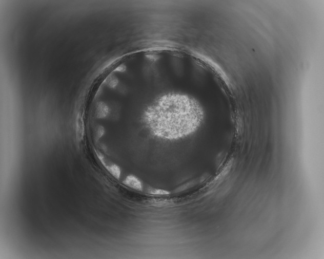 X0000100921407200807221106