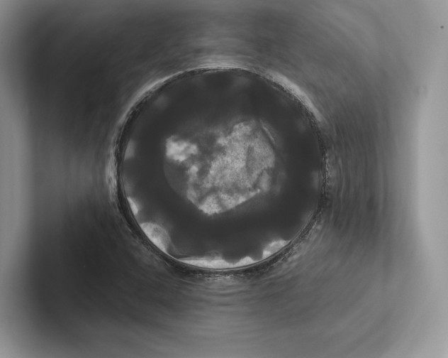 X0000100921408200807221106