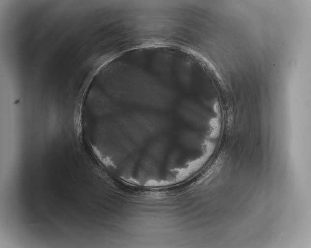 X0000100921409200807221106