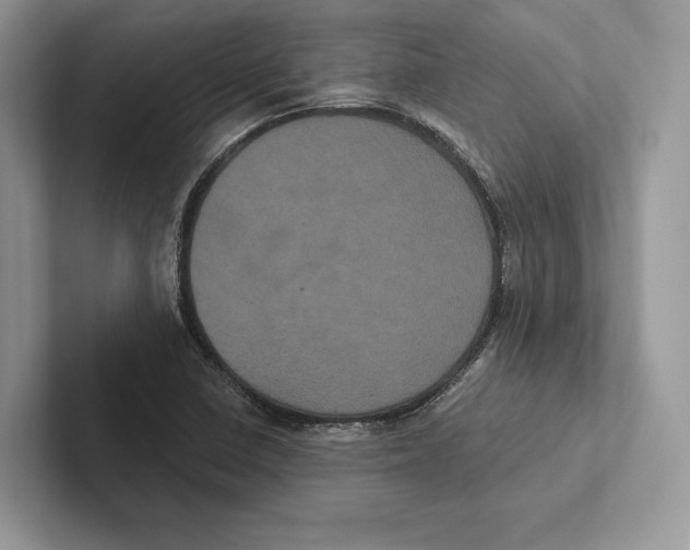 X0000100921410200807221106