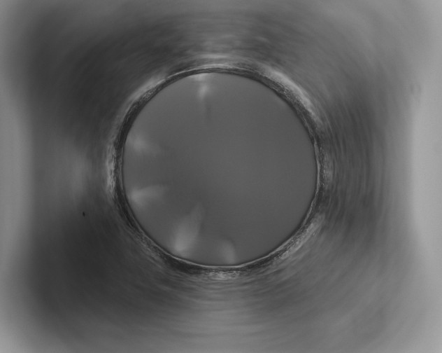 X0000100921411200807221106
