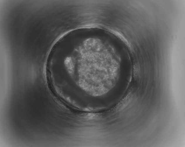 X0000100921412200807221106