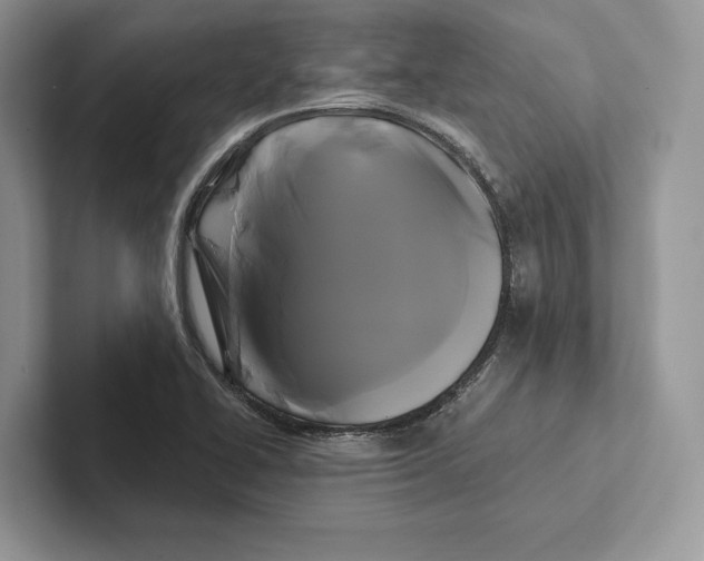 X0000100921414200807221106