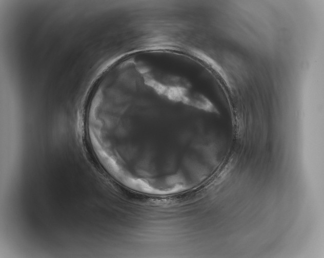 X0000100921415200807221106