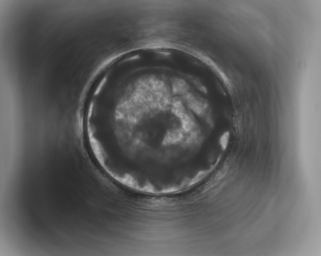 X0000100921416200807221106