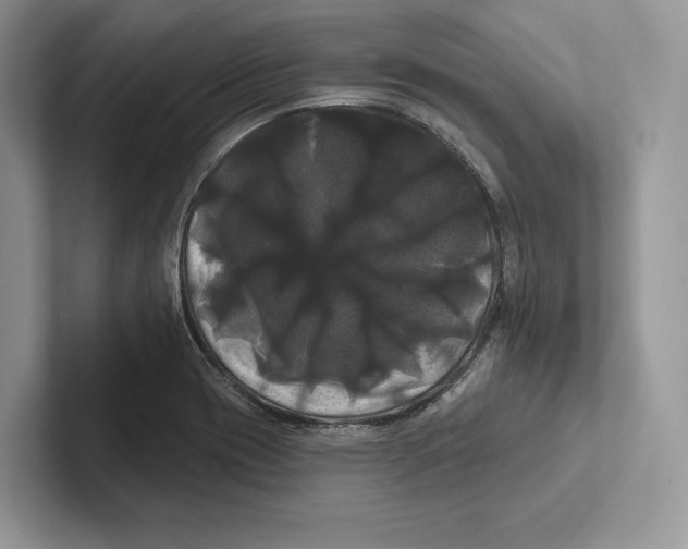 X0000100921417200807221106