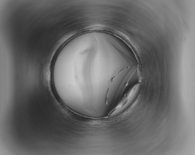 X0000100921418200807221106