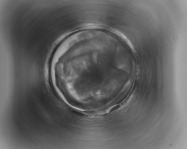X0000100921419200807221106