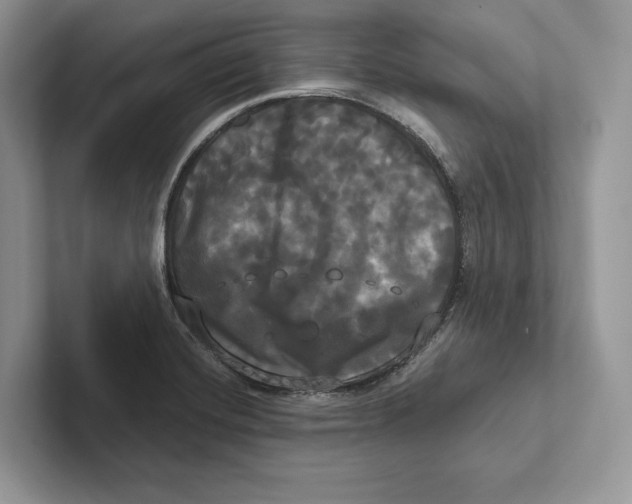 X0000100921420200807221106