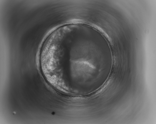 X0000100921421200807221106