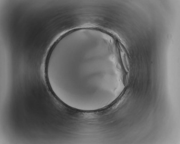 X0000100921422200807221106