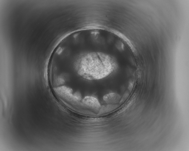 X0000100921423200807221106