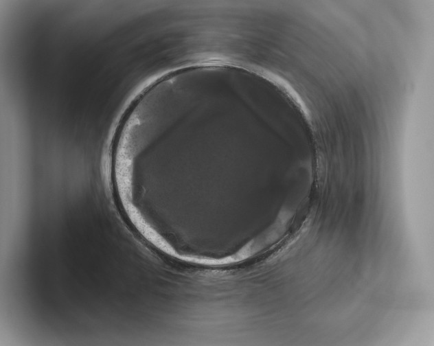 X0000100921424200807221106