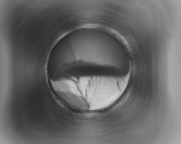 X0000100921425200807221106